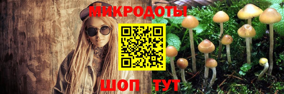 Галлюциногенные грибы прущие грибы Екатеринбург