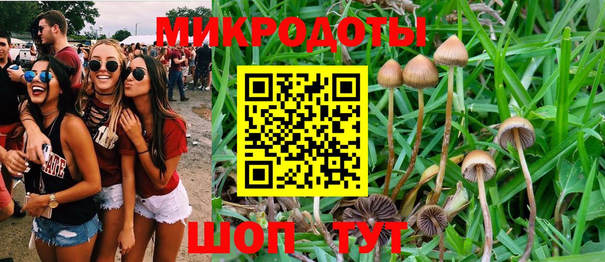 Екатеринбург  Псилоцибиновые грибы GOLDEN TEACHER  даркнет сайт  Вход с VPN 